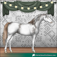 Horse Color:White Spotted Liver Chestnut Sabino
