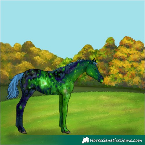 Horse Color:ERROR: UNKNOWN ANOMALY