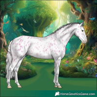 Horse Color:Watercolor Palomino Splash Appaloosa 