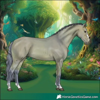 Horse Color:Watercolor Buckskin 
