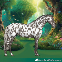 Horse Color:Silver Black Near Leopard
