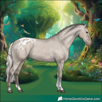 Horse Color:Silver Grullo Tobiano Appaloosa Rabicano 