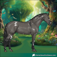 Horse Color:White Spotted Grullo Rabicano