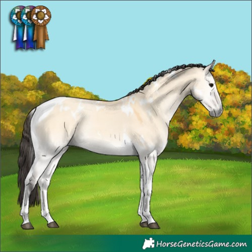 Horse Color:White Spotted Buckskin Onyx Tobiano Rabicano 