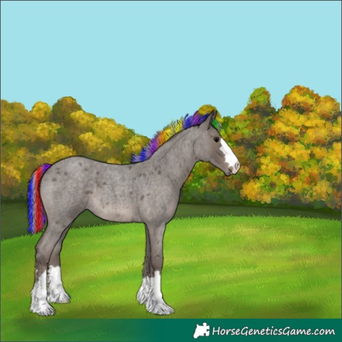 Horse Color:Painted Silver Blue Roan 