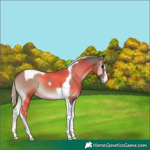 Horse Color:Silver Blue Onyx Tobiano 