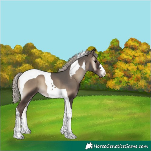 Horse Color:Silver Blue Onyx Tobiano 
