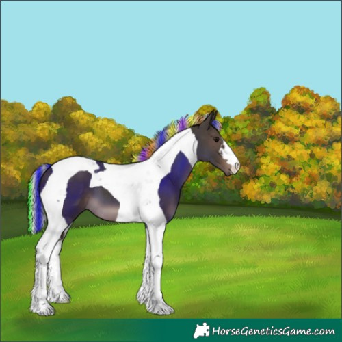 Horse Color:Painted Silver Black Tobiano 