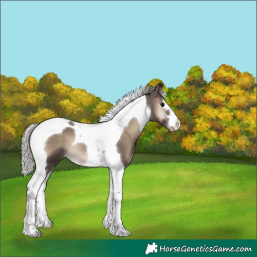 Horse Color:Silver Blue Onyx Tobiano 