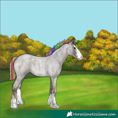 Horse Color:Painted Silver Blue Roan 