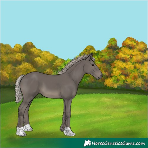 Horse Color:Silver Black 