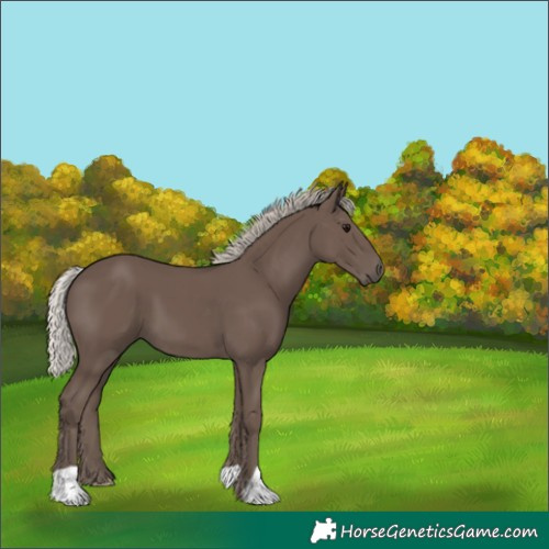 Horse Color:Silver Black 