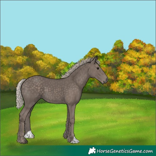 Horse Color:Silver Black 