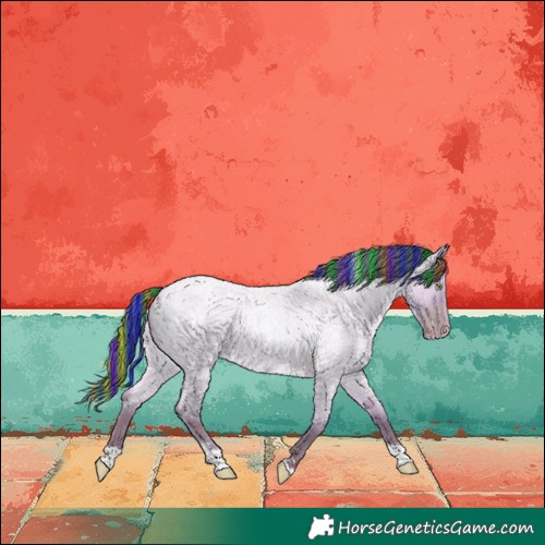 Horse Color:Painted Watercolor Classic Champagne Roan Dun Tobiano Rabicano 