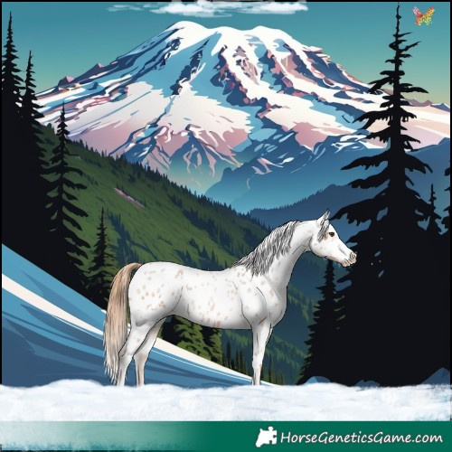 Horse Color:Red Roan Appaloosa