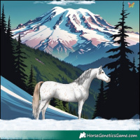 Horse Color:Red Roan Near Leopard 
