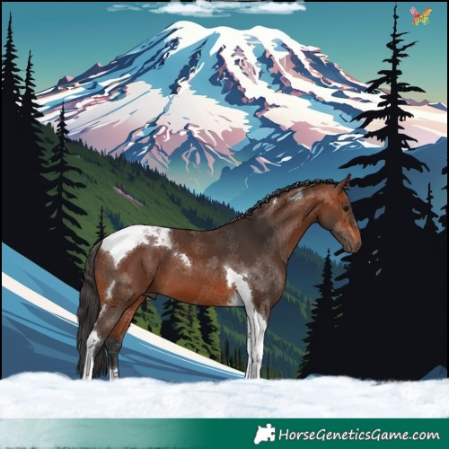Horse Color:Bay Tobiano 