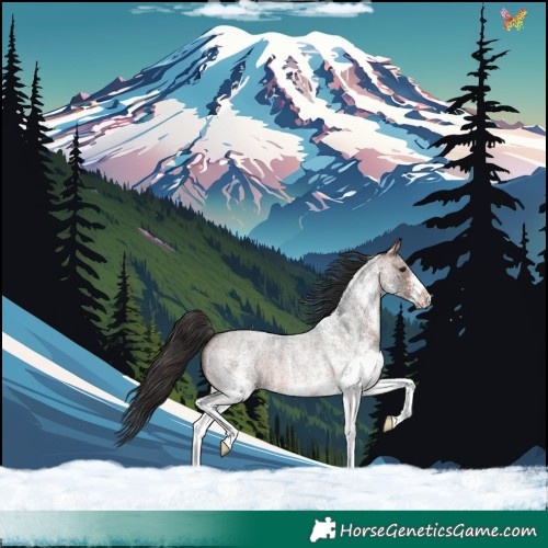 Horse Color:White Spotted Bay Roan 