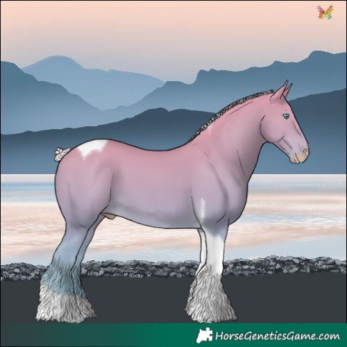 Horse Color:Silver Perlino Tobiano 