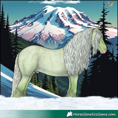 Horse Color:Silver Perlino Roan 