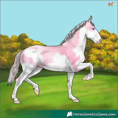 Horse Color:Silver Buckskin Pearl Dun Splash