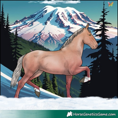 Horse Color:Silver Bay Pearl Dun 