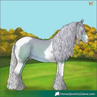 Horse Color:Silver Perlino Dun Tobiano