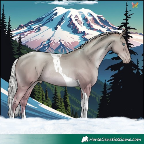 Horse Color:Silver Amber Champagne Pearl Tobiano Rabicano 