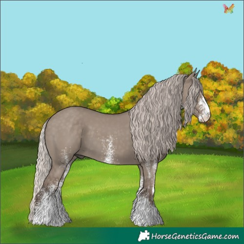 Horse Color:White Spotted Silver Grullo 