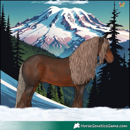 Horse Color:Liver Chestnut 