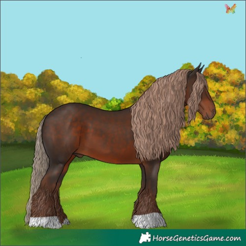 Horse Color:Liver Chestnut 