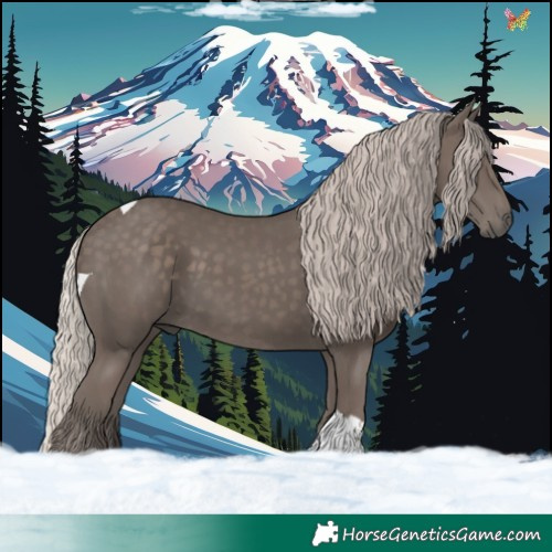 Horse Color:Silver Black Tobiano 