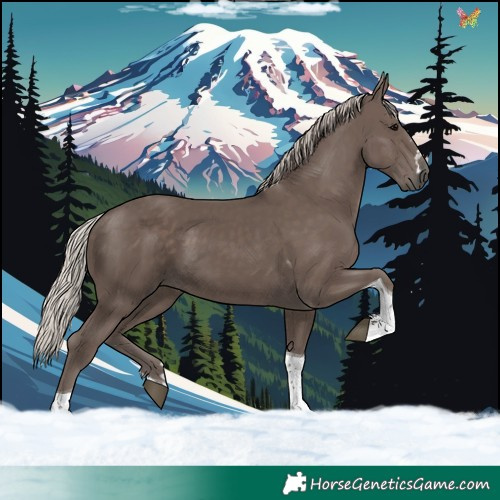 Horse Color:Silver Black Tobiano 