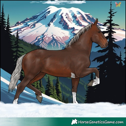 Horse Color:Silver Brown Tobiano 