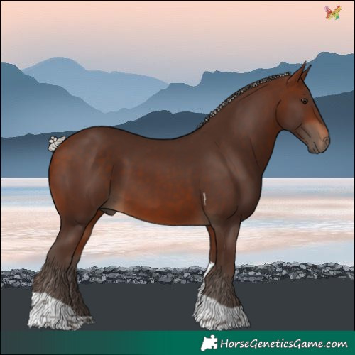 Horse Color:Silver Brown Tobiano 