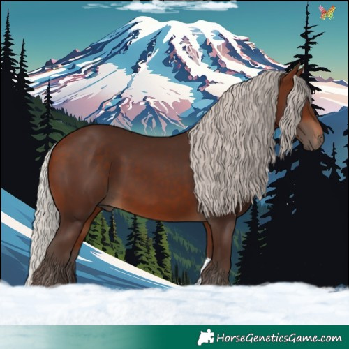 Horse Color:Silver Brown Tobiano 