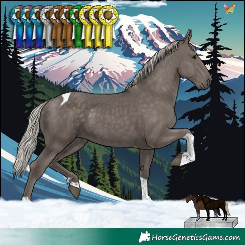 Horse Color:Silver Black Tobiano 