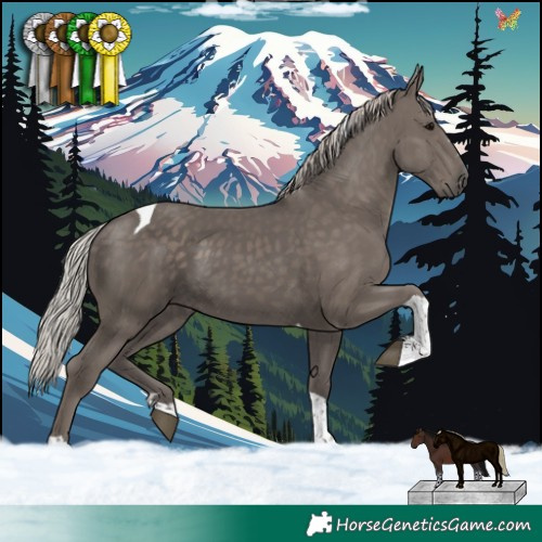 Horse Color:Silver Black Tobiano 
