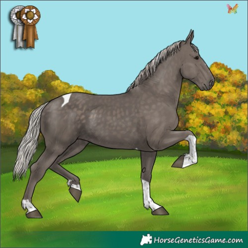 Horse Color:Silver Black Tobiano 