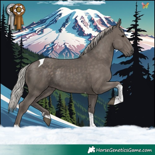 Horse Color:Silver Black Tobiano 