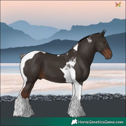 Horse Color:Liver Chestnut Tobiano 