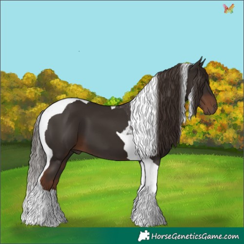 Horse Color:Liver Chestnut Tobiano 