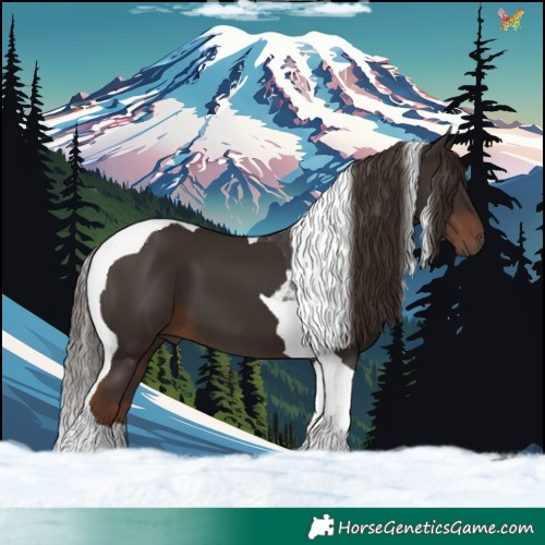 Horse Color:Liver Chestnut Tobiano 