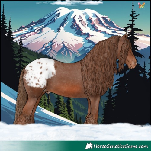 Horse Color:Chestnut Blanket 