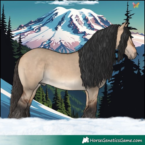 Horse Color:Bay Dun 