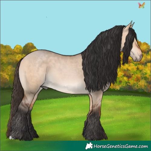 Horse Color:Bay Dun 