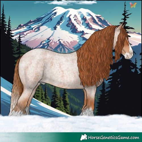 Horse Color:Red Roan Splash 