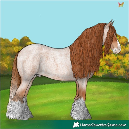 Horse Color:Red Roan Splash 