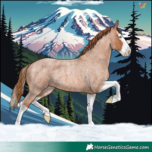 Horse Color:Red Roan Splash 