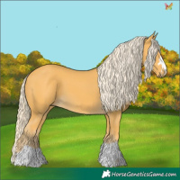 Horse Color:Palomino